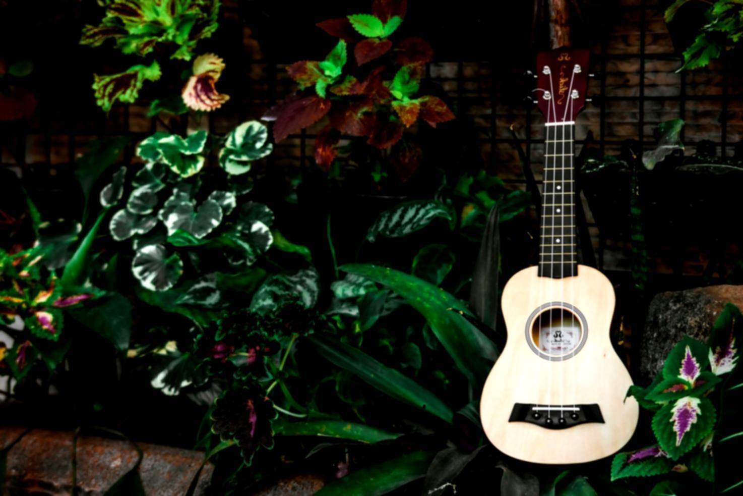 Розробка навчальних матеріалів з звукового дизайну